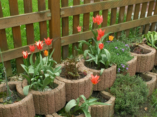 08_tulpen_01.jpg, 391.74 kb, 26.04.2006 / 15:25:36