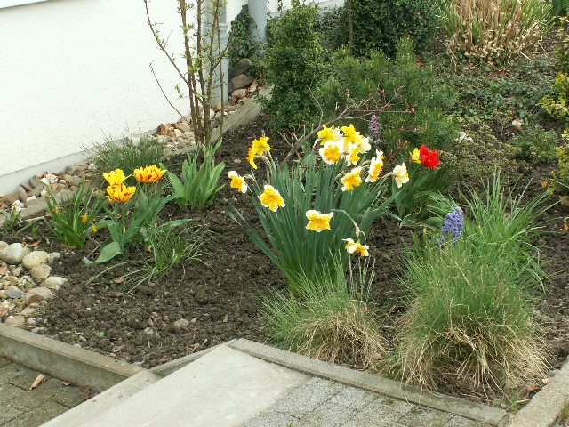 11_vorgarten_02.jpg, 394.58 kb, 26.04.2006 / 15:25:41