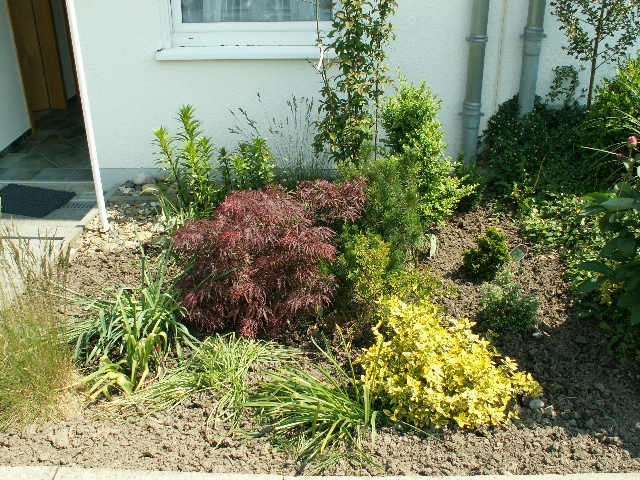 vorgarten_03.jpg, 412.71 KB, 16.08.2009 / 16:24:58