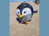 Pingu-01