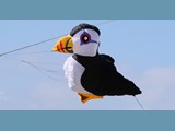 Puffin-02