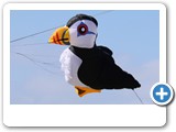 puffin-02